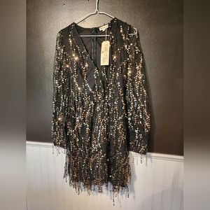 Southern Fried Chics